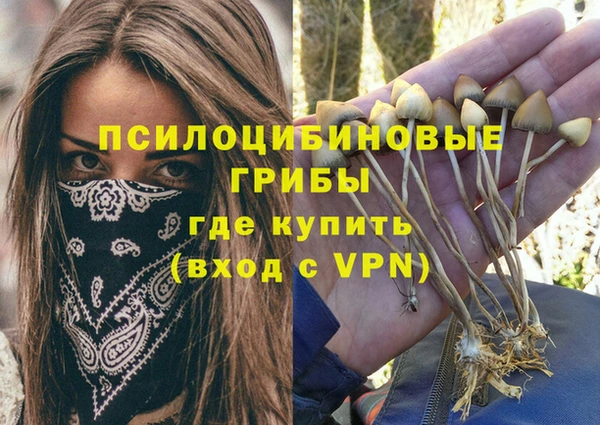 ГАЛЛЮЦИНОГЕННЫЕ ГРИБЫ Няндома