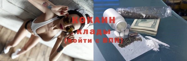 ГАЛЛЮЦИНОГЕННЫЕ ГРИБЫ Няндома