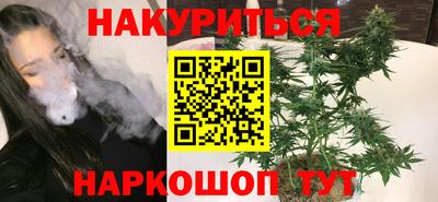 spice Гатчина