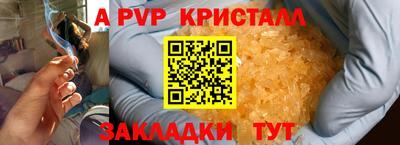spice Гатчина