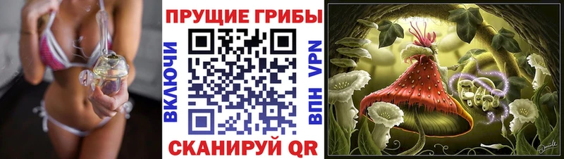 купить наркоту  Майский  Галлюциногенные грибы Cubensis 