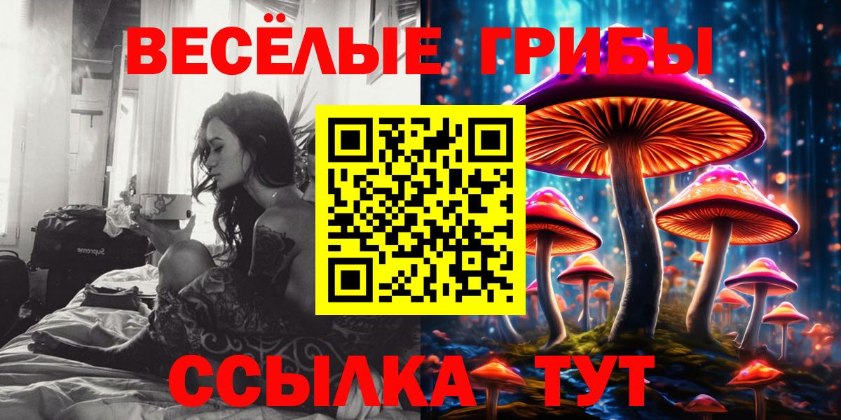 Галлюциногенные грибы мицелий  Галлюциногенные грибы Psilocybine cubensis  продажа наркотиков  Вход с VPN  Майский 